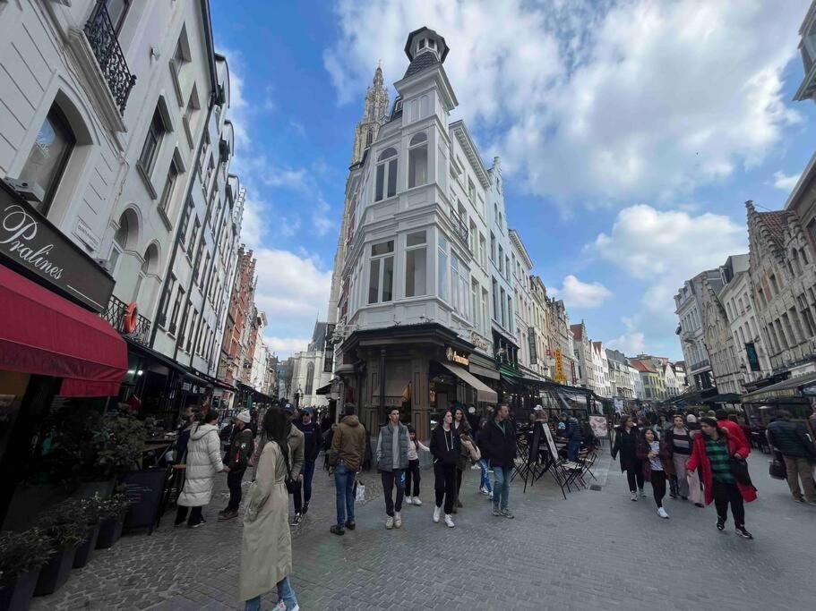 Cozy - Cityview Free Parking Antwerpen